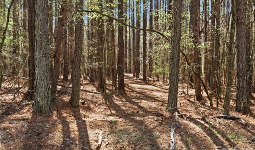 Photo #28 of 3883 Marlette, York, SC