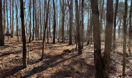 Photo #6 of 3883 Marlette, York, SC