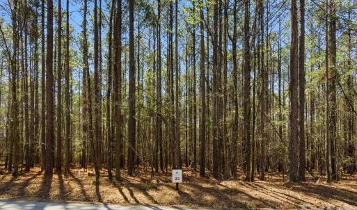 Photo #43 of 3883 Marlette, York, SC