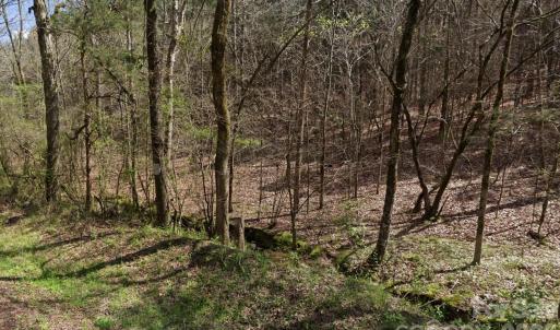 Photo #1 of Morton, Polkton, NC