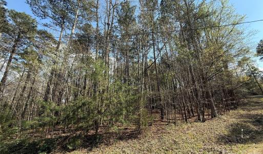 Photo #3 of TBD Goldmine, Wadesboro, NC