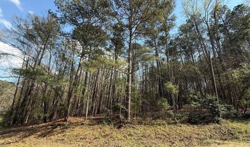 Photo #2 of TBD Goldmine, Wadesboro, NC