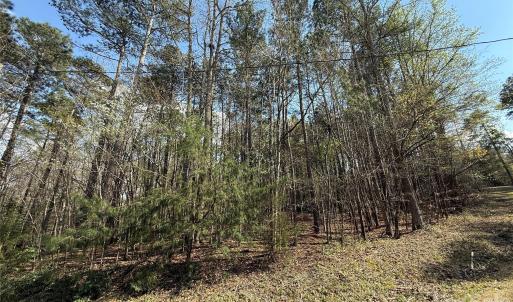 Photo #2 of TBD Goldmine, Wadesboro, NC