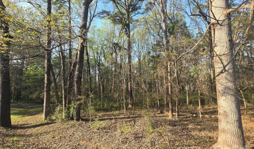 Photo #2 of Aziza, Rock Hill, SC