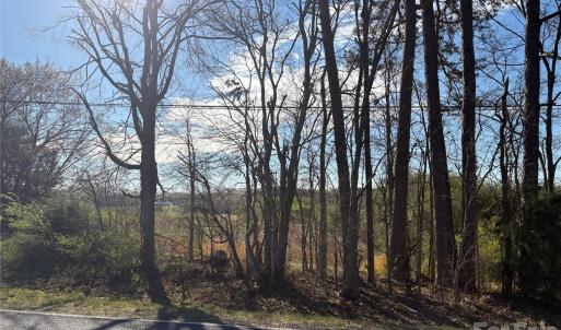 Photo #3 of Silver, Oakboro, NC