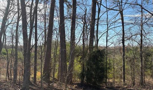 Photo #9 of Silver, Oakboro, NC