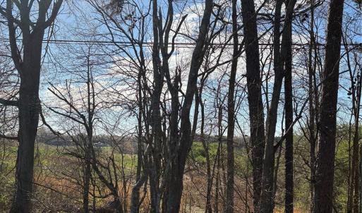 Photo #13 of Silver, Oakboro, NC