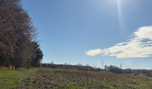 Photo #16 of Silver, Oakboro, NC