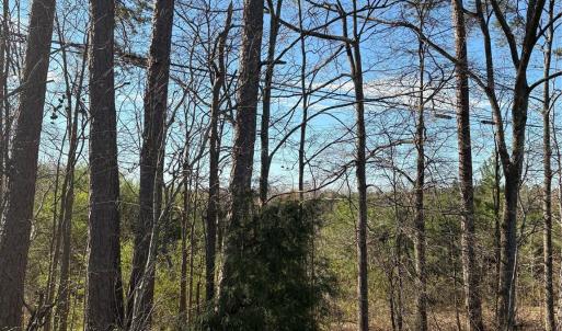 Photo #12 of Silver, Oakboro, NC