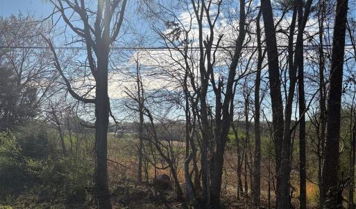 Photo #11 of Silver, Oakboro, NC