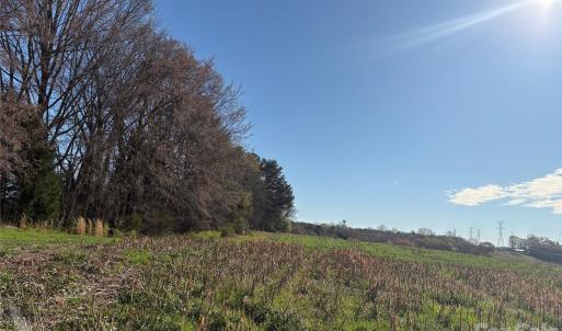 Photo #8 of Silver, Oakboro, NC