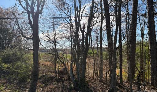 Photo #1 of Silver, Oakboro, NC
