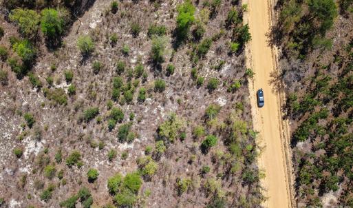 Photo #4 of McQueen, Patrick, SC