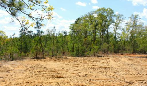 Photo #21 of McQueen, Patrick, SC