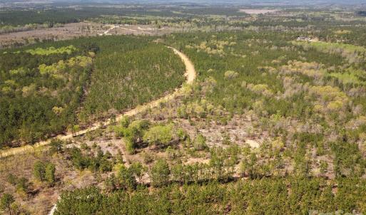 Photo #7 of McQueen, Patrick, SC