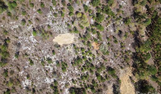 Photo #3 of McQueen, Patrick, SC