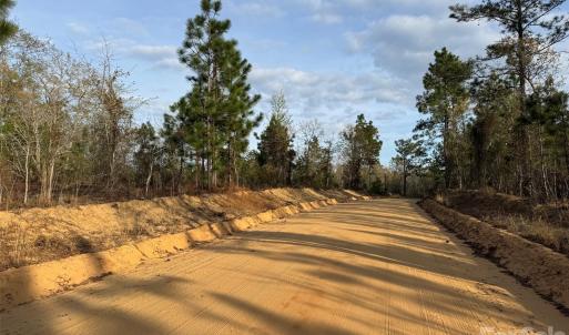 Photo #15 of McQueen, Patrick, SC