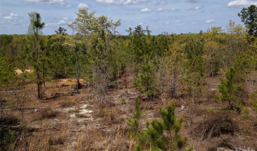 Photo #12 of McQueen, Patrick, SC