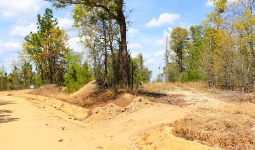 Photo #20 of McQueen, Patrick, SC