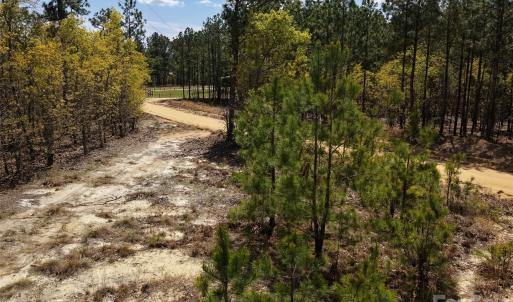 Photo #13 of McQueen, Patrick, SC