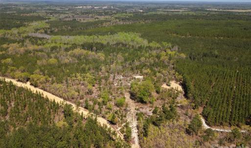 Photo #6 of McQueen, Patrick, SC