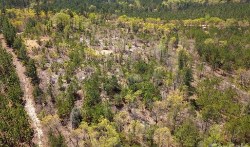 Photo #8 of McQueen, Patrick, SC