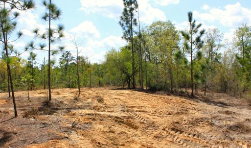 Photo #22 of McQueen, Patrick, SC