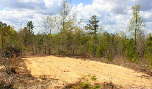 Photo #23 of McQueen, Patrick, SC