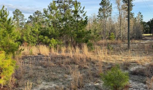 Photo #19 of McQueen, Patrick, SC