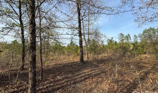 Photo #18 of McQueen, Patrick, SC