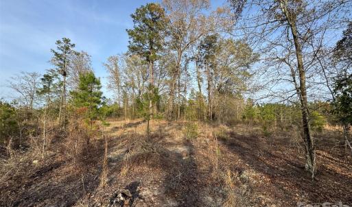 Photo #16 of McQueen, Patrick, SC