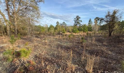 Photo #17 of McQueen, Patrick, SC