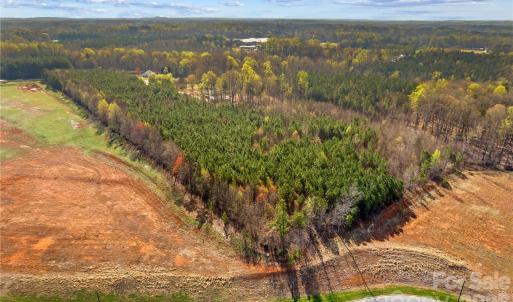 Photo #10 of Bud, China Grove, NC