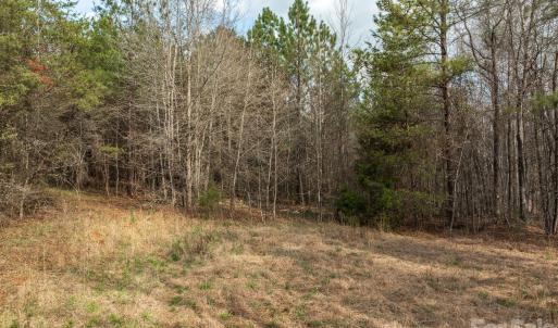 Photo #2 of Melvin Hill, Campobello, SC