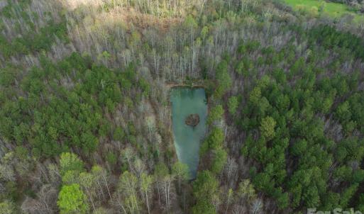 Photo #9 of Melvin Hill, Campobello, SC