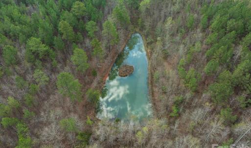 Photo #12 of Melvin Hill, Campobello, SC