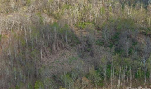 Photo #5 of Melvin Hill, Campobello, SC