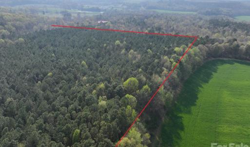 Photo #3 of Woodall, Wadesboro, NC