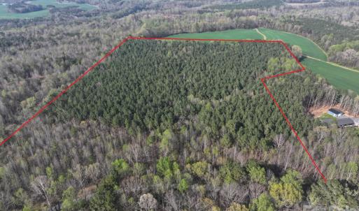 Photo #7 of Woodall, Wadesboro, NC