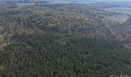 Photo #6 of Woodall, Wadesboro, NC