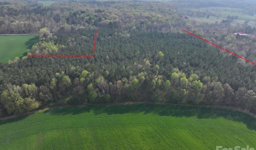 Photo #4 of Woodall, Wadesboro, NC