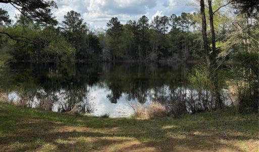 Photo #1 of Lot TBD Springwood Lakes, Chester, SC