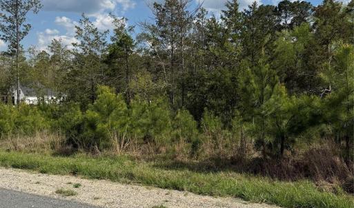 Photo #2 of Lot TBD Springwood Lakes, Chester, SC