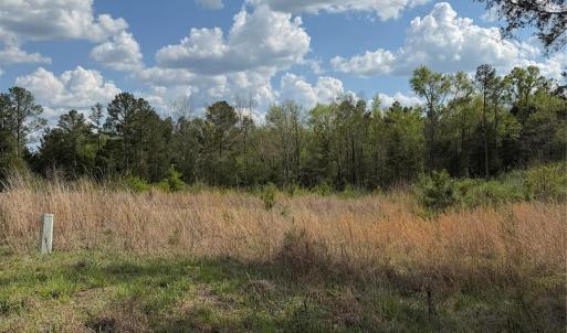 Photo #1 of Springwood Lakes, Chester, SC