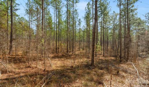 Photo #21 of Peacehaven, McConnells, SC