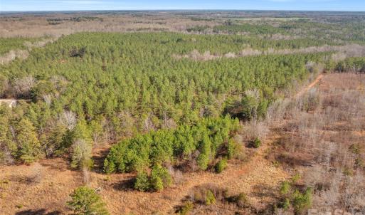 Photo #36 of Peacehaven, McConnells, SC