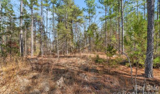 Photo #26 of Peacehaven, McConnells, SC