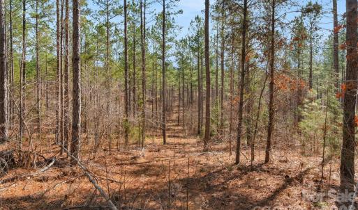 Photo #22 of Peacehaven, McConnells, SC