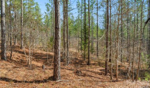 Photo #24 of Peacehaven, McConnells, SC