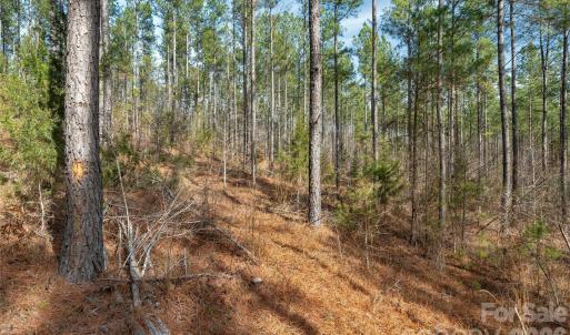 Photo #20 of Peacehaven, McConnells, SC